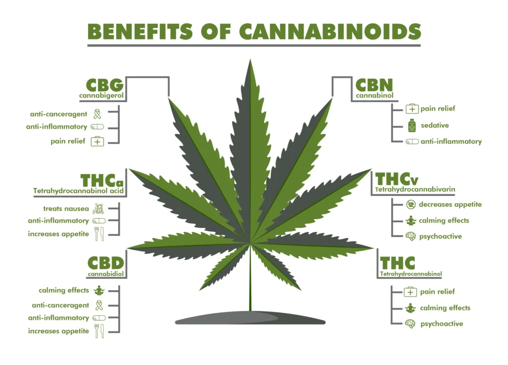 Effects of Cannabinoids