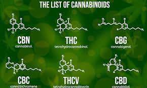 Effects of Cannabinoids