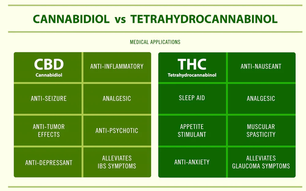 CBD vs THC