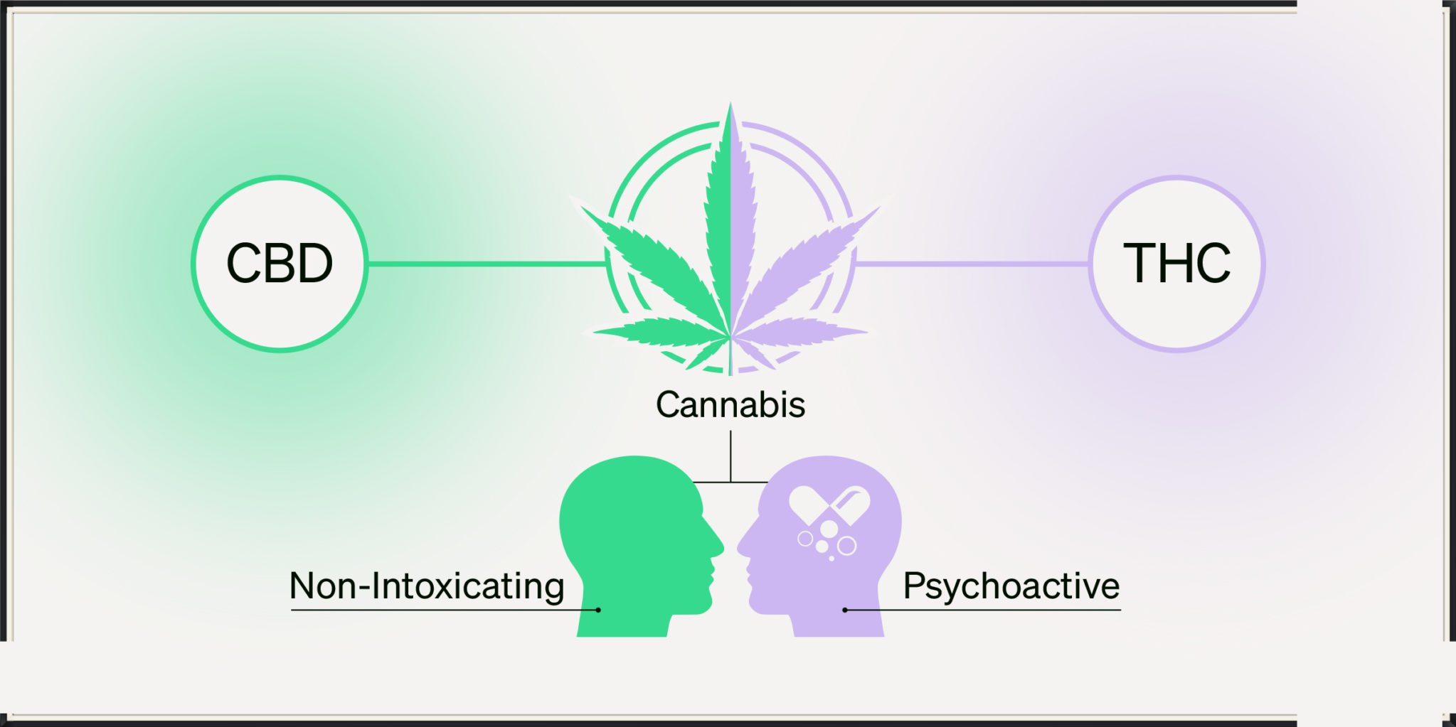 CBD vs THC: Understanding the Differences and Benefits