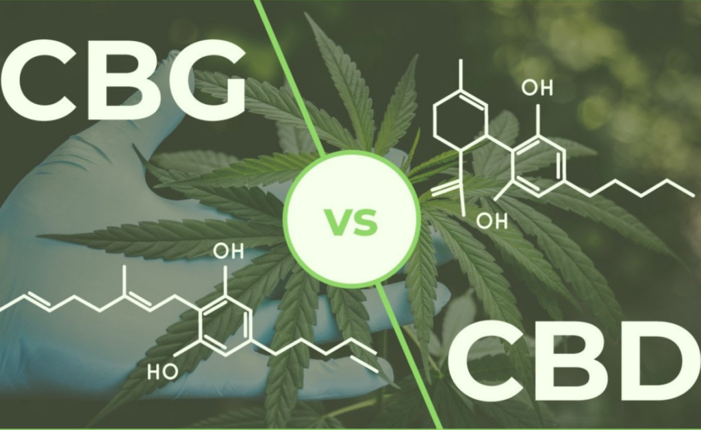 CBD vs CBG